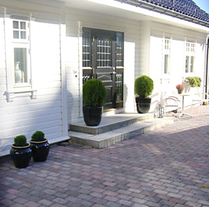 Kongsgård