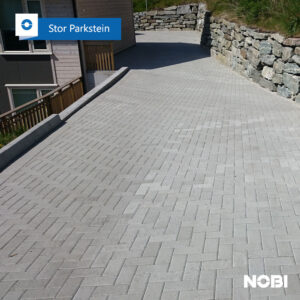 Stor Parkstein Belegningsstein