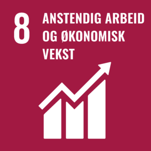 Etiske retningslinjer i NOBI - SDG 8