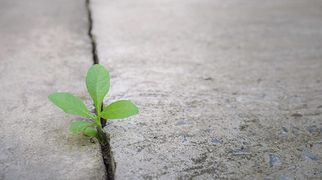 Betong og miljø header