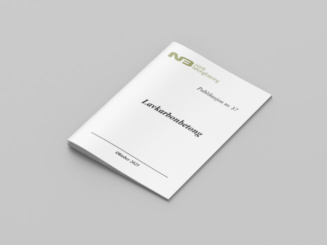 Publikasjon NB37